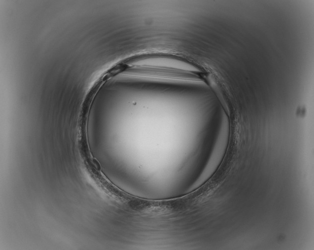 X0000111120536200907211052