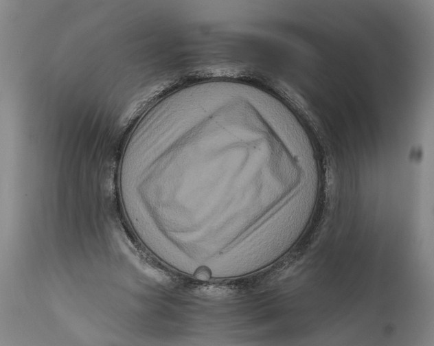 X0000111120537200907211052