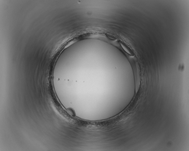 X0000111120538200907211052
