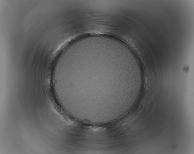 X0000111120539200907211052