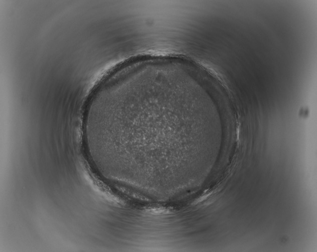 X0000111120540200907211052