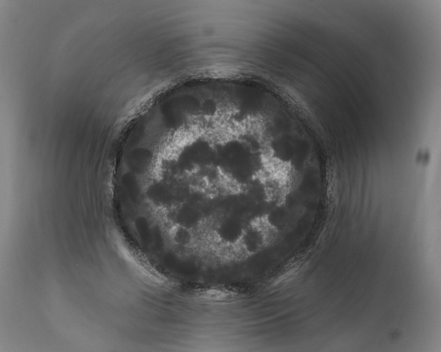 X0000111120542200907211052