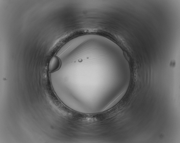 X0000111120543200907211052