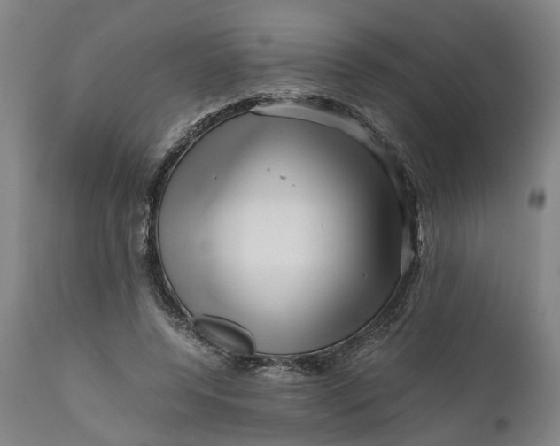 X0000111120544200907211052