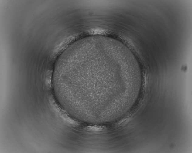 X0000111120545200907211052