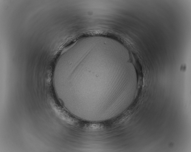 X0000111120546200907211052