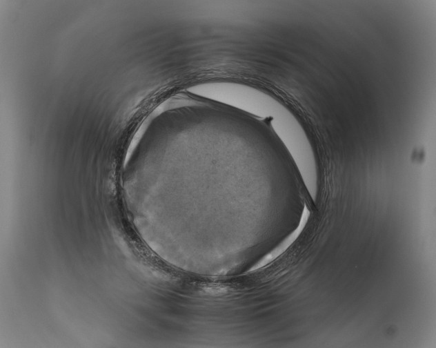 X0000111120547200907211052