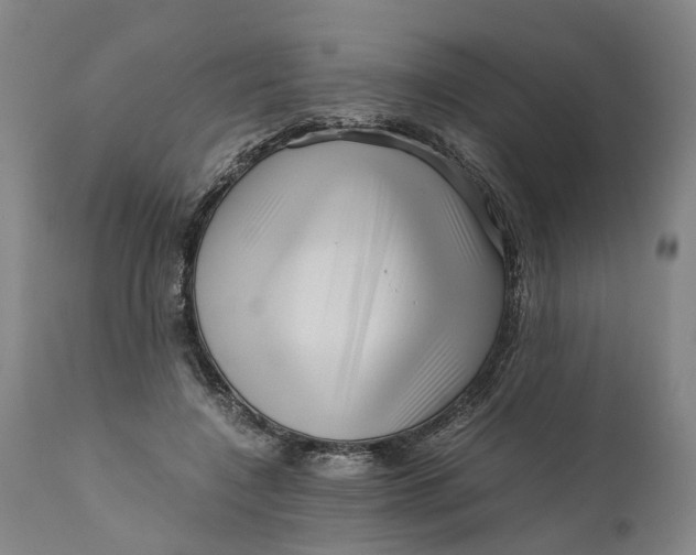 X0000111120548200907211052