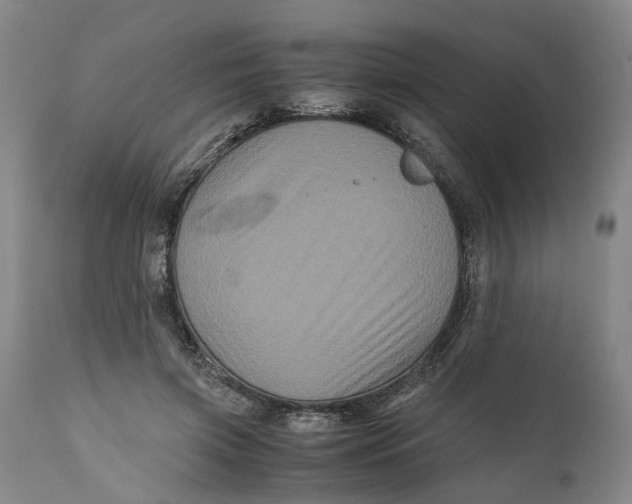 X0000111120549200907211052