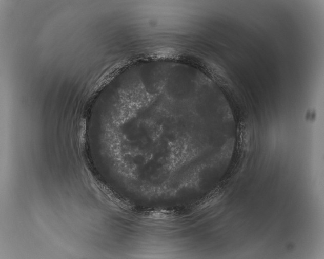 X0000111120550200907211052