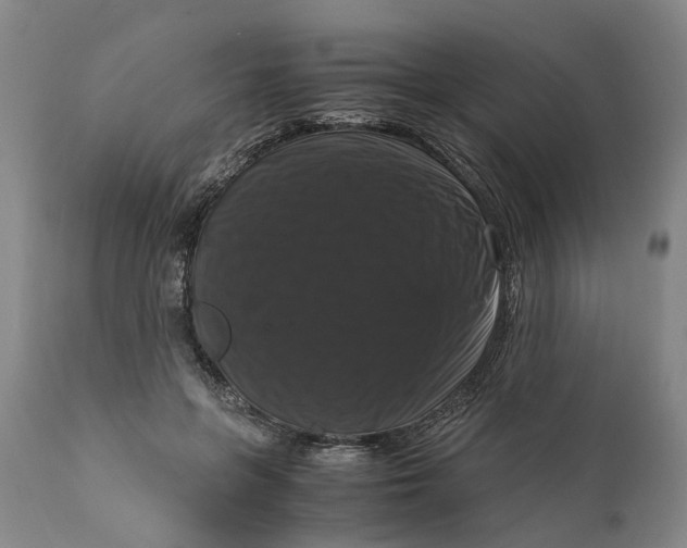 X0000111120551200907211052
