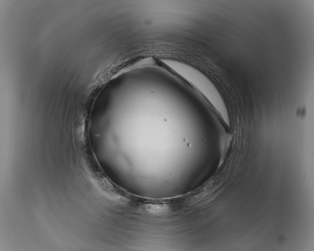 X0000111120552200907211052