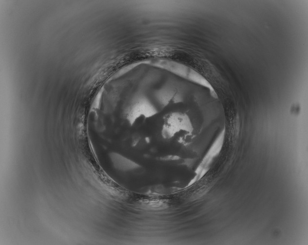 X0000111120553200907211052