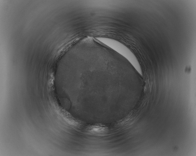 X0000111120555200907211052