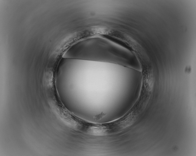 X0000111120556200907211052