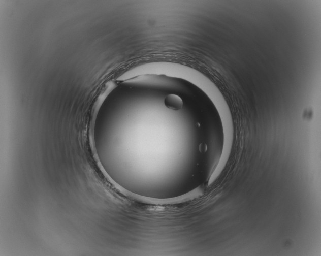 X0000111120558200907211052