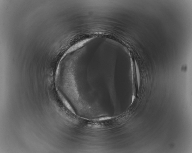X0000111120559200907211052