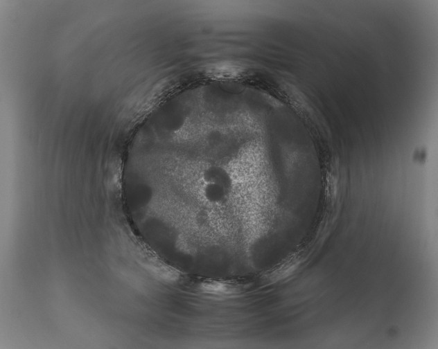 X0000111120561200907211052