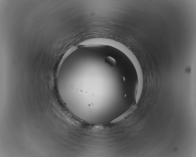 X0000111120562200907211053