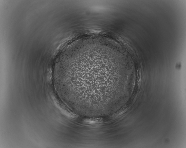 X0000111120563200907211053
