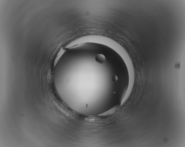 X0000111120564200907211053