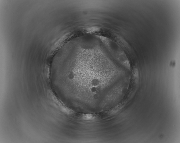X0000111120565200907211053