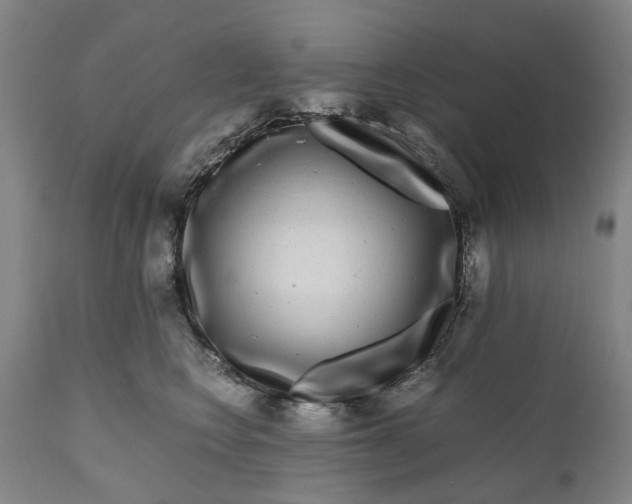 X0000111120566200907211053