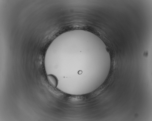 X0000111120567200907211053