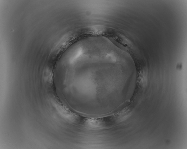 X0000111120568200907211053