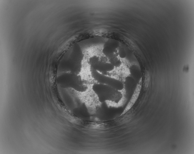 X0000111120569200907211053