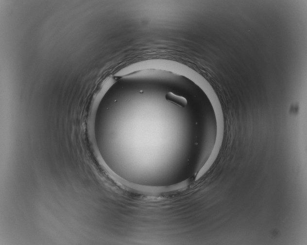 X0000111120570200907211053