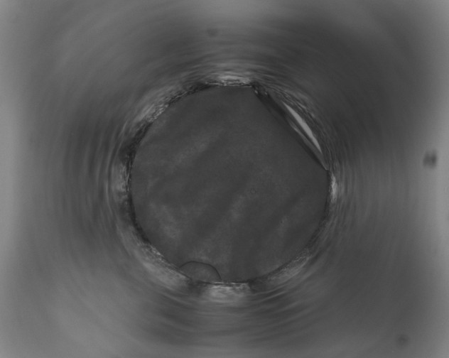 X0000111120571200907211053