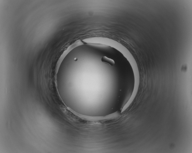 X0000111120572200907211053