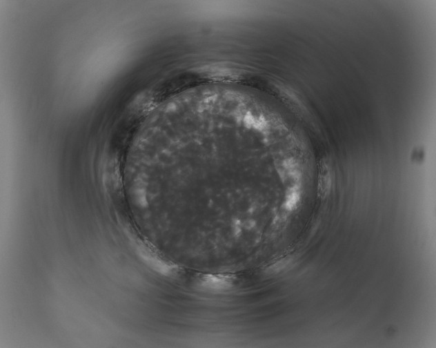 X0000111120573200907211053