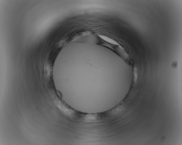 X0000111120574200907211053
