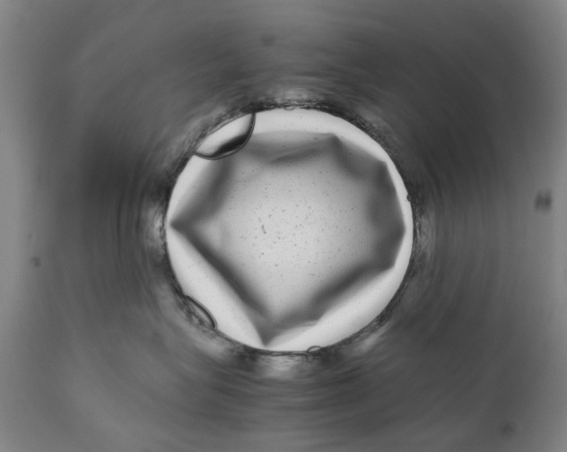 X0000111120575200907211053