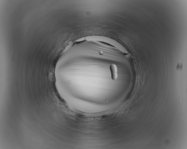 X0000111120576200907211053