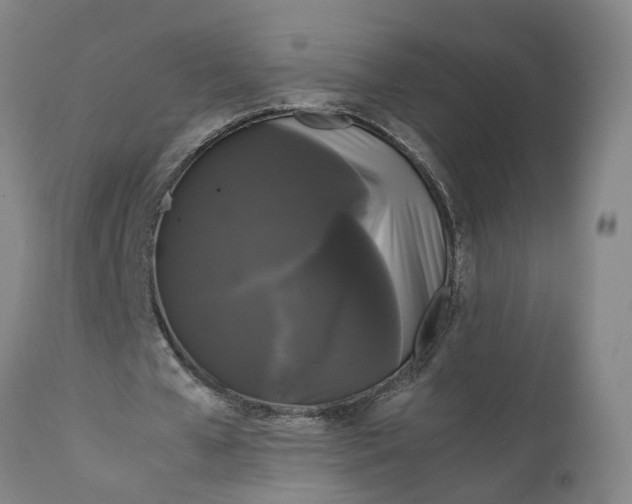 X0000111120577200907211052