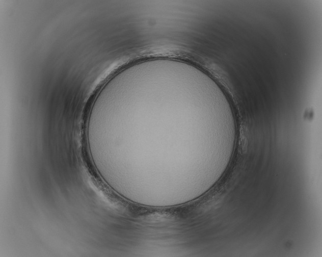 X0000111120578200907211052