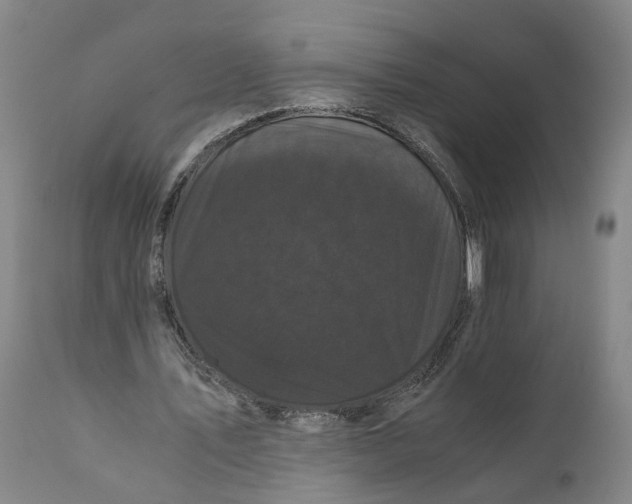 X0000111120579200907211052
