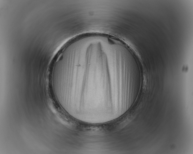 X0000111120580200907211052