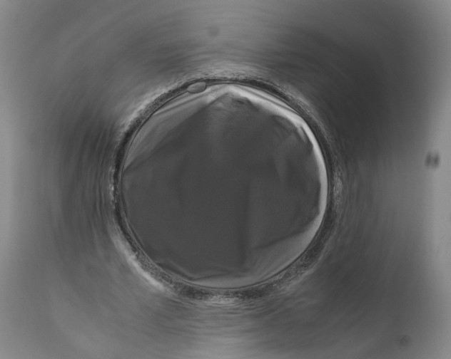X0000111120581200907211052