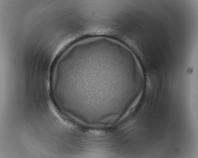 X0000111120582200907211052