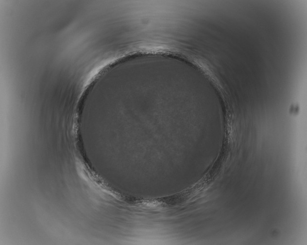 X0000111120583200907211052