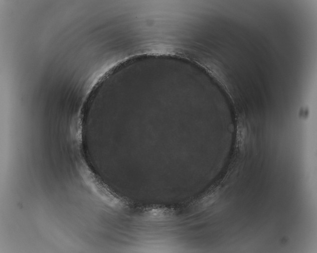 X0000111120584200907211052