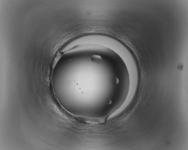 X0000111120585200907211052