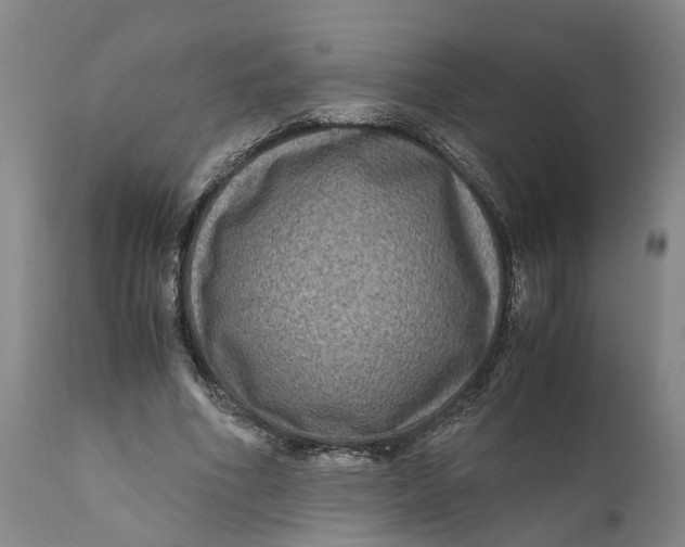 X0000111120586200907211052