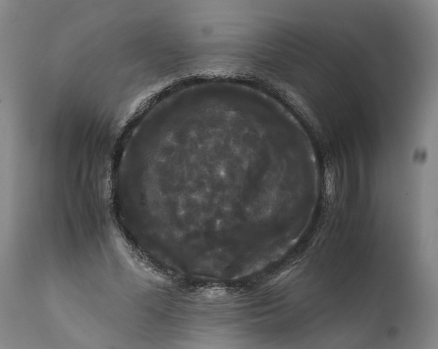 X0000111120588200907211052