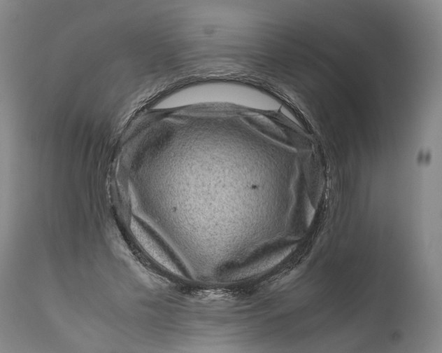 X0000111120589200907211052