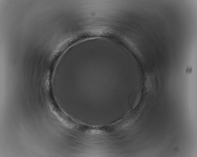 X0000111120590200907211052